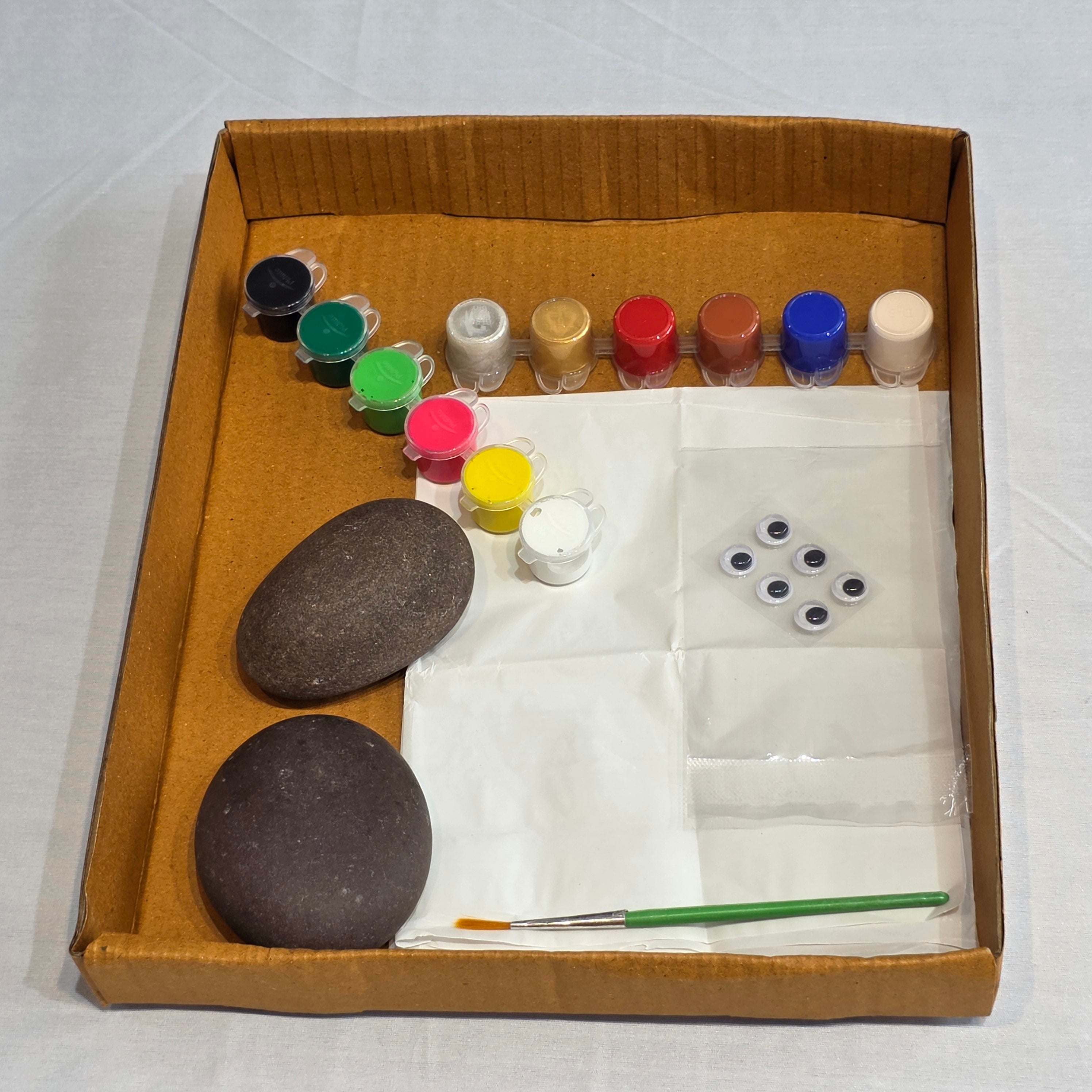 DIY Pebble Painting Kit